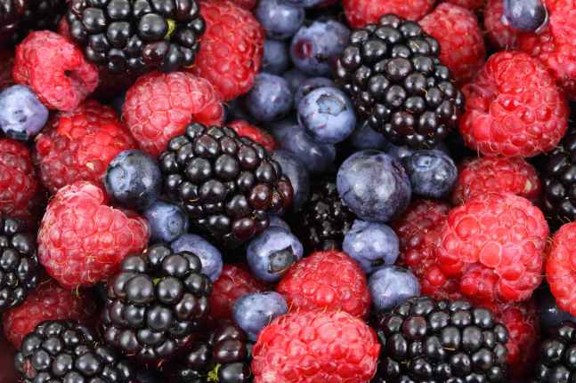 background-berries-berry-blackberries-87818.jpeg